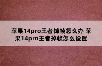 苹果14pro王者掉帧怎么办 苹果14pro王者掉帧怎么设置